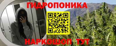 ПСИЛОЦИБИНОВЫЕ ГРИБЫ Ярославль