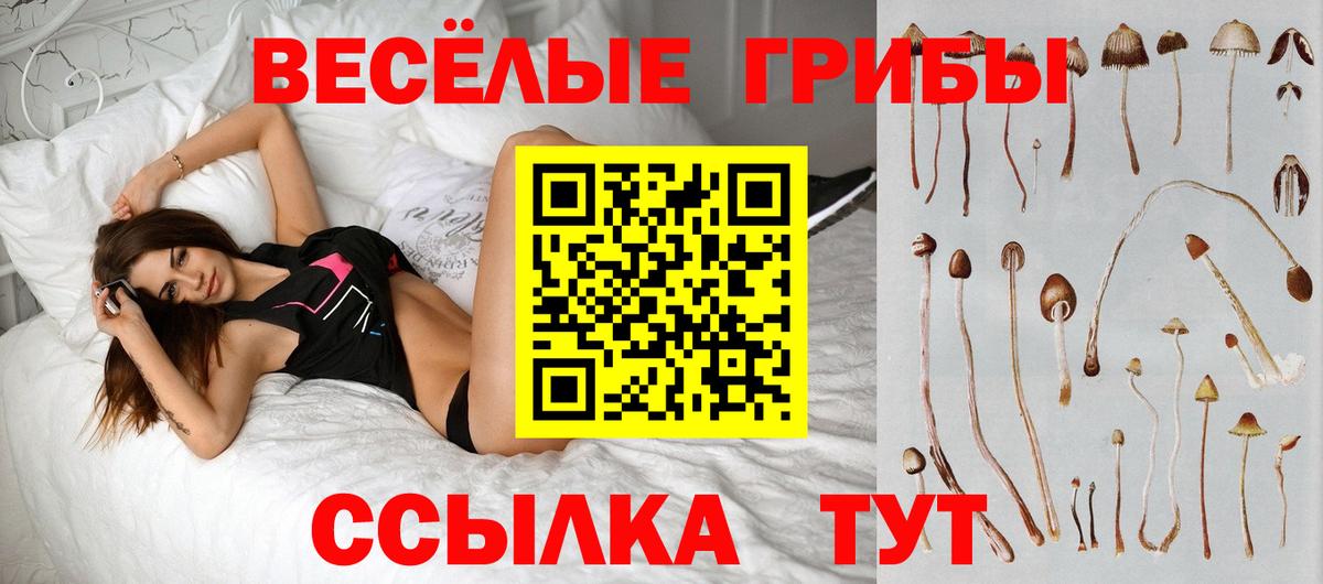 Галлюциногенные грибы мухоморы  Вход с VPN  Моздок 